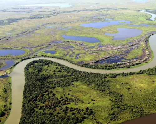 Setor produtivo cobra retomada de rodovia que vai ligar Mato Grosso e Mato Grosso do Sul no Pantanal